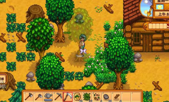 星露谷物语海莉6星选什么3