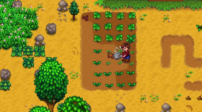 星露谷物语第三年春天种什么1