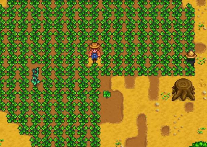 星露谷物语蟹笼出什么1