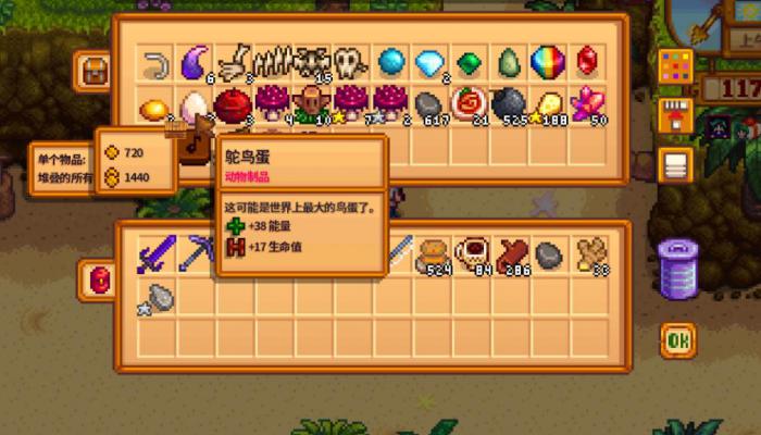 星露谷物语海莉房间在哪_星露谷物语官方正版