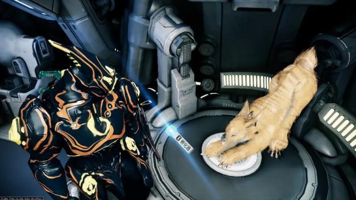 星际战甲怎么跟库狛互动_星际战甲 库