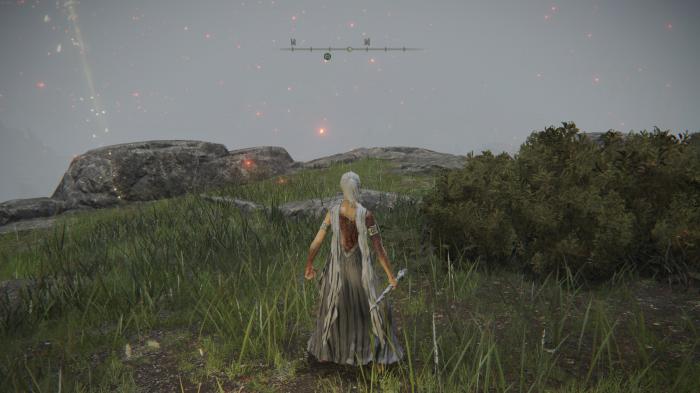 艾尔登法环盲眼少女支线给什么1