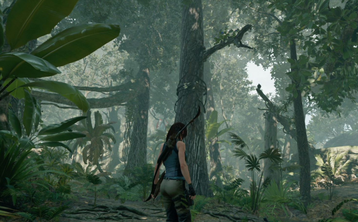 古墓丽影秘鲁丛林文献怎么走3