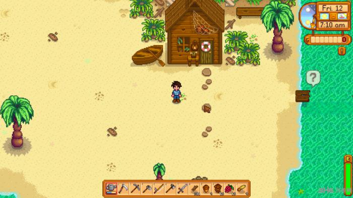 星露谷物语椰子怎么获取1