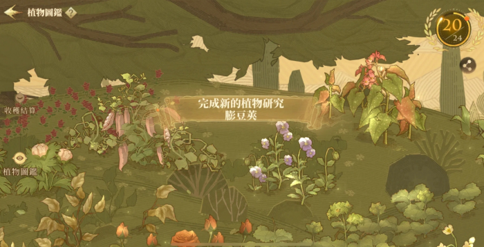 哈利波特魔法觉醒可加分的图鉴有哪些3