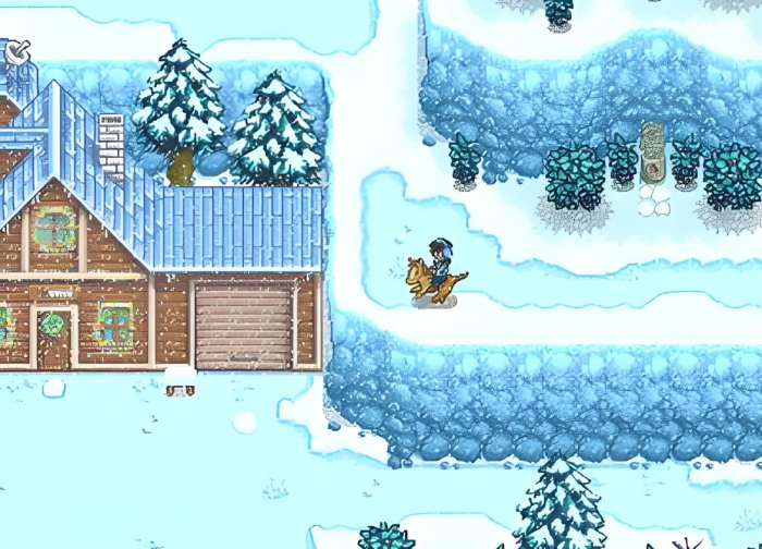 星露谷物语第一个冬天该做什么2