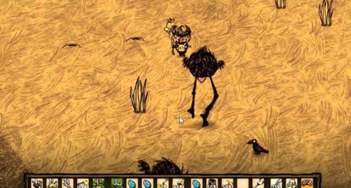 饥荒鸟类怎么抓_饥荒中的鸟有什么用