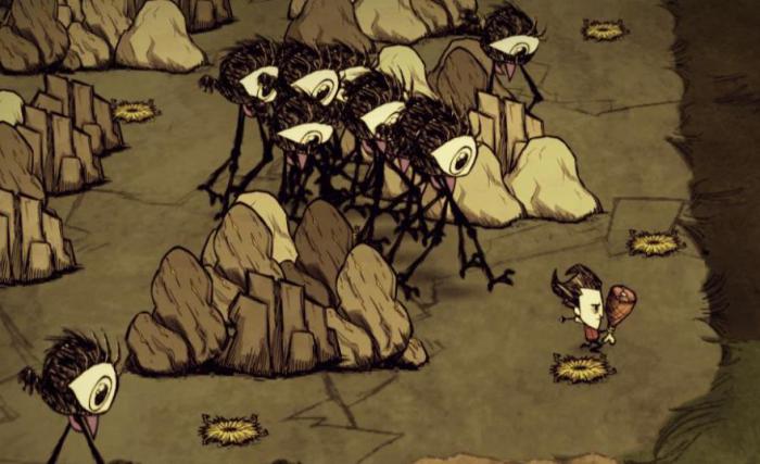 饥荒鸟类怎么抓3