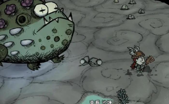 饥荒毒菌蟾蜍怎么打2