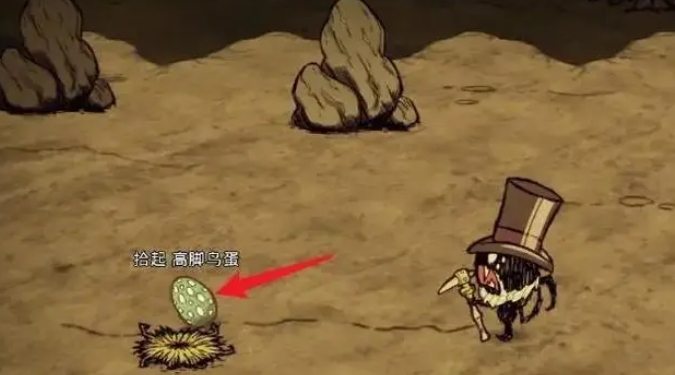 饥荒高脚鸟蛋有什么用_饥荒高脚鸟蛋怎么做菜