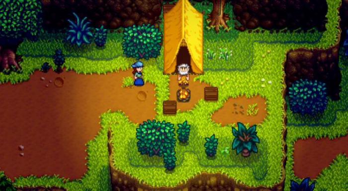 星露谷物语莱纳斯在哪里3