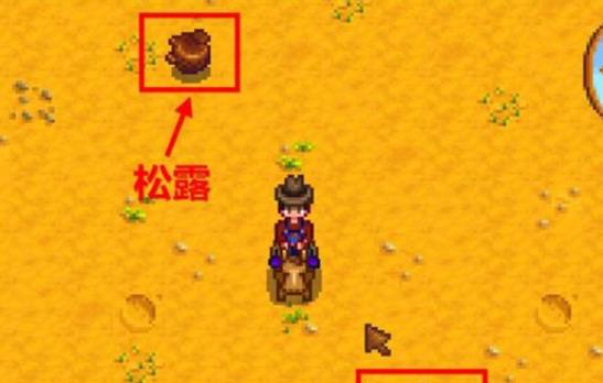 星露谷物语松露油怎么制作_星露谷物语松露油怎么提升品质