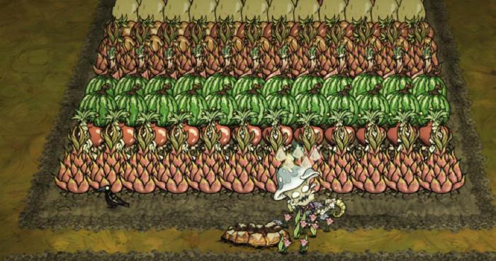 饥荒种地攻略教程是什么1