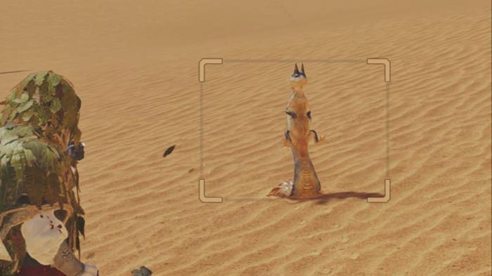 怪物猎人荒野环境调查生物有哪些_怪物猎人生态调查员任务