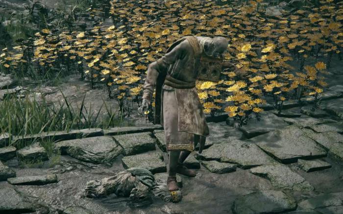 艾尔登法环击败葛托克有什么后果1