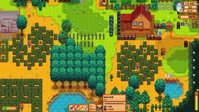 星露谷物语夏季有哪些玩法2