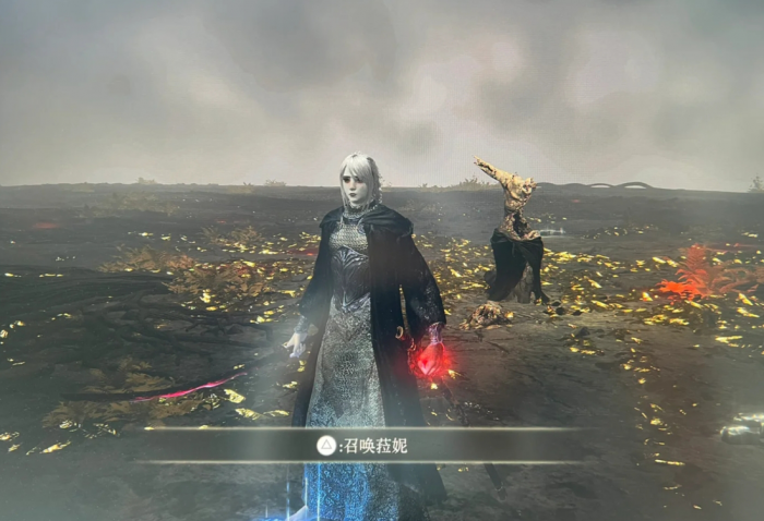 艾尔登法环死王子和星星结局怎么做1