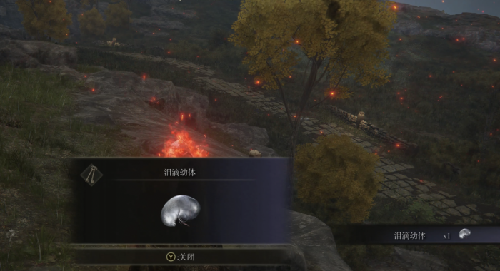 艾尔登法环泪滴幼体位置在哪里2