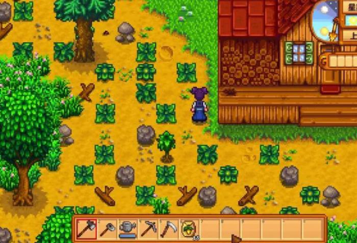 星露谷物语玩家的初始工具有哪些1