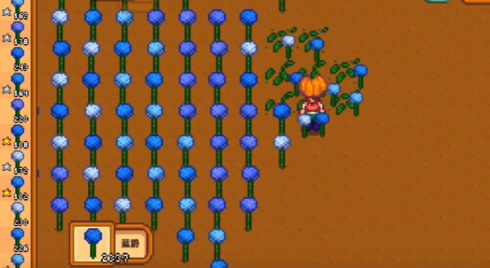 星露谷物语蓝爵有哪些特性1