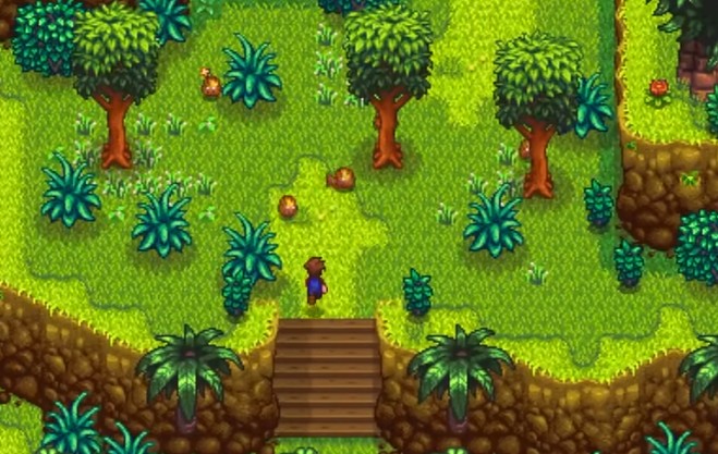 星露谷物语菠萝作物有哪些特性_星露谷波克在哪 星露谷物语菠萝作物有哪些特性_星露谷波克在哪