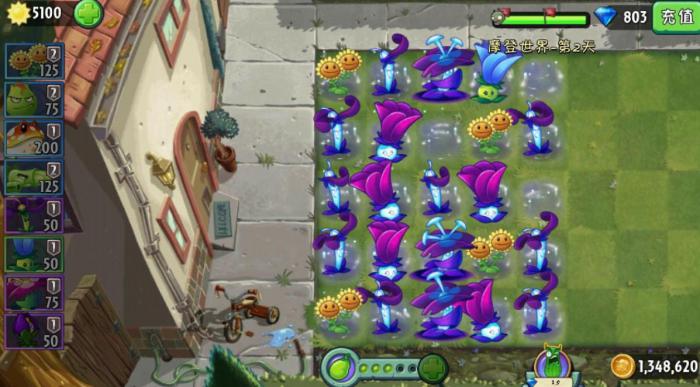 植物大战僵尸2暗樱草怎么样2