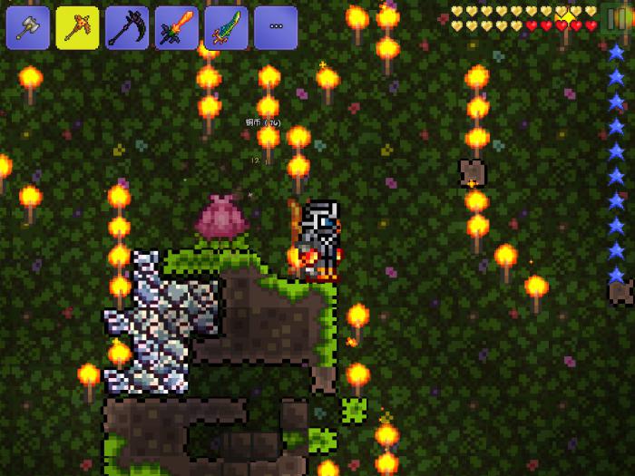 泰拉瑞亚花苞一般在哪些地方1