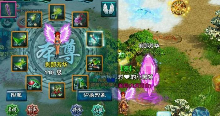 忘仙宠物幻化丹哪里买3