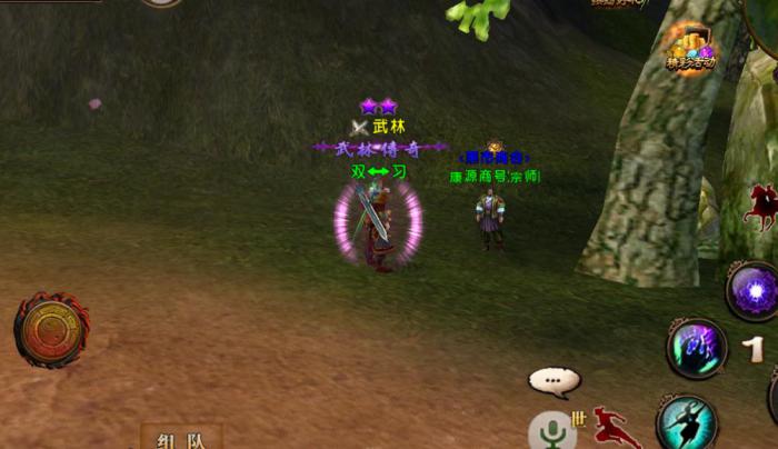 卧虎藏龙贰逍遥技能怎么升级2