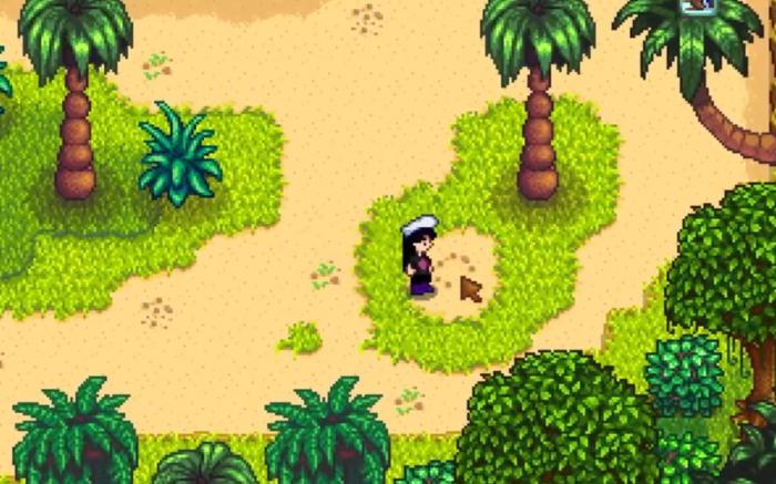 星露谷物语姜岛在哪里去1