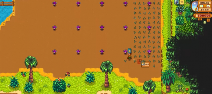 星露谷物语姜岛洒水器怎么摆2