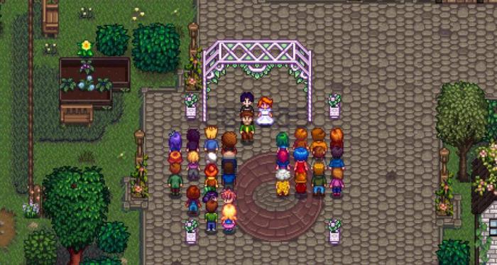 星露谷物语怎么可以结婚_星露谷物语可以结婚的