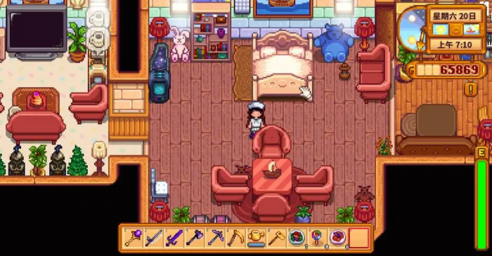 星露谷物语房间怎么布置1