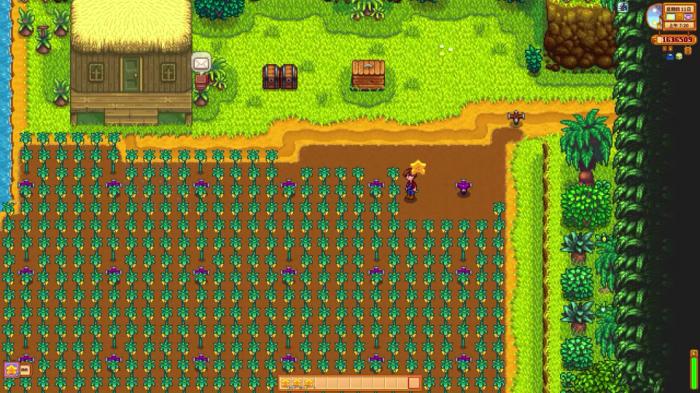 星露谷物语姜岛种植任务怎么玩2