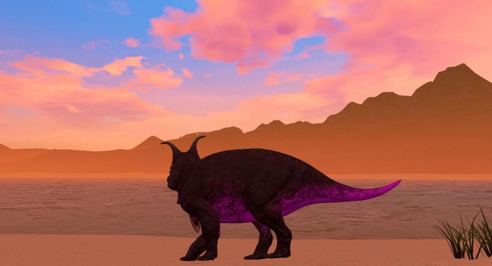 恐龙岛进化服有哪些3