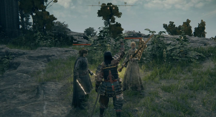 艾尔登法环开局职业怎么选择_艾尔登法环什么类型