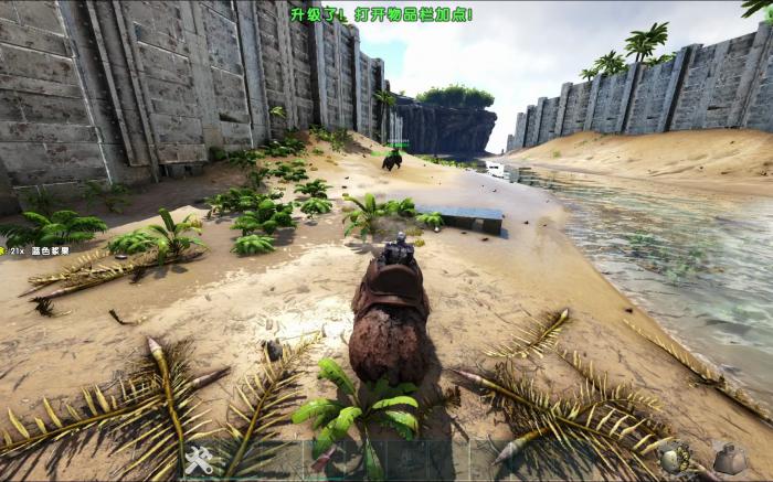 方舟生存进化pve孤岛建家位置在哪3