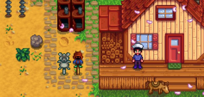 星露谷物语海莉八星过后送什么2