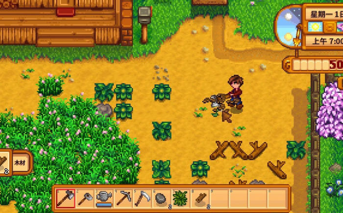 星露谷物语老虎机怎么玩3