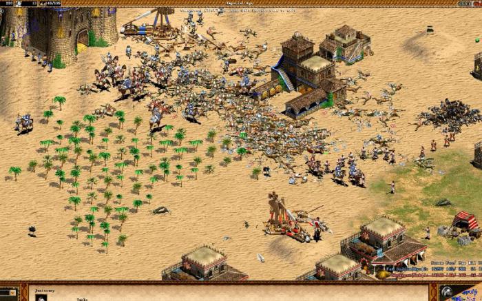 帝国时代2什么模式玩的久3