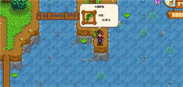 星露谷物语怎么改钓鱼的文本1