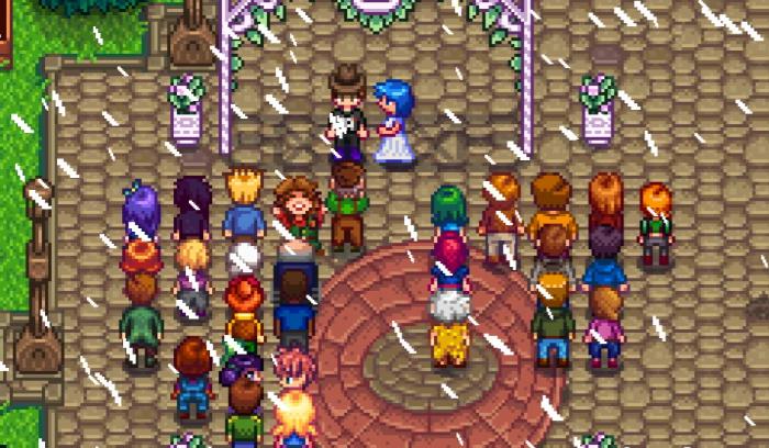 星露谷物语怎么变性别2