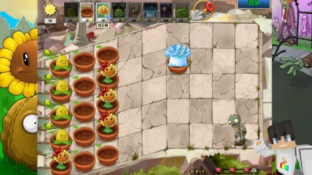 植物大战僵尸怎么架扶梯3