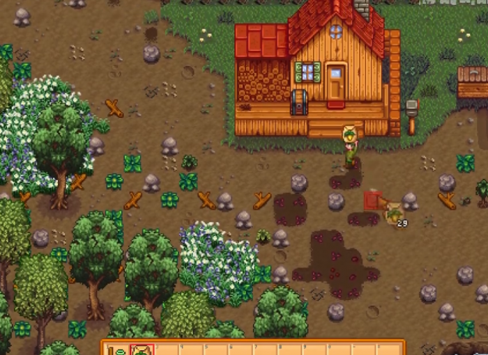 星露谷物语海边在哪里3