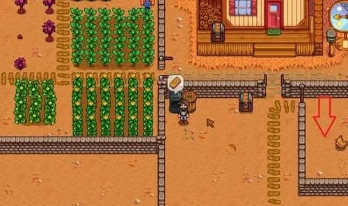 星露谷物语一开始怎么赚钱1