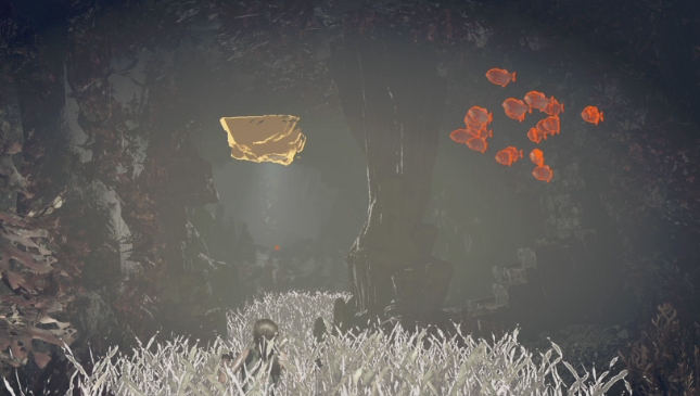 古墓丽影食人鱼古墓怎么过_古墓丽影暗影食人鱼宝箱