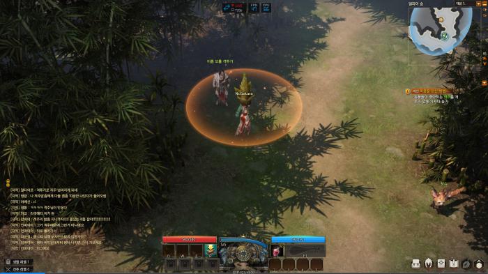 失落的方舟波尔佩岛在哪里_失落的方舟伯尔尼城