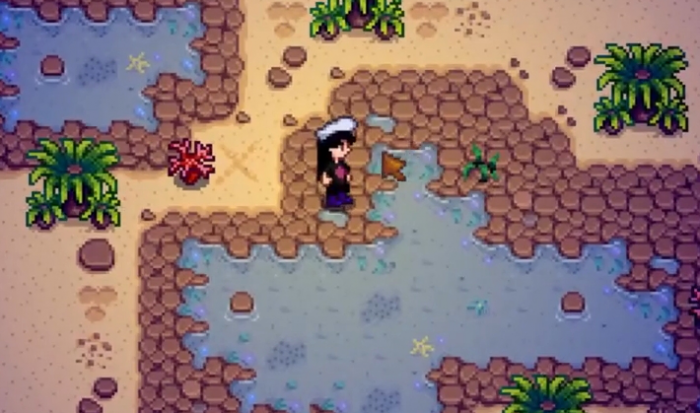 星露谷物语怎么刷金核桃3