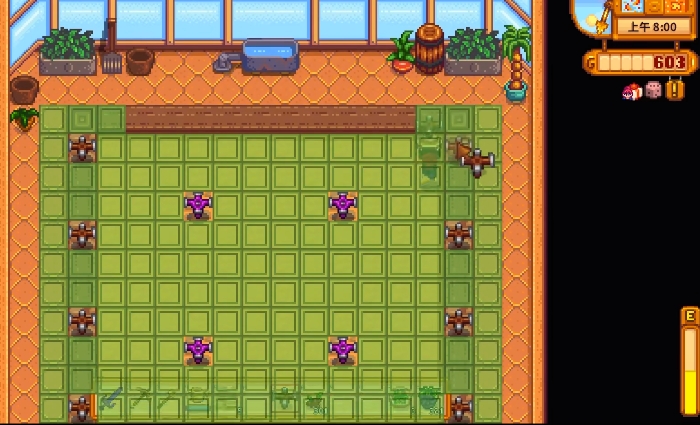 星露谷物语钻石在哪里买2