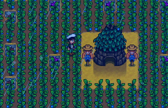 星露谷物语打鸟有什么用2